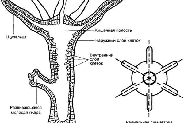 Кракен площадка kr2web in