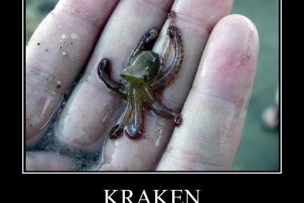 Kraken 23at