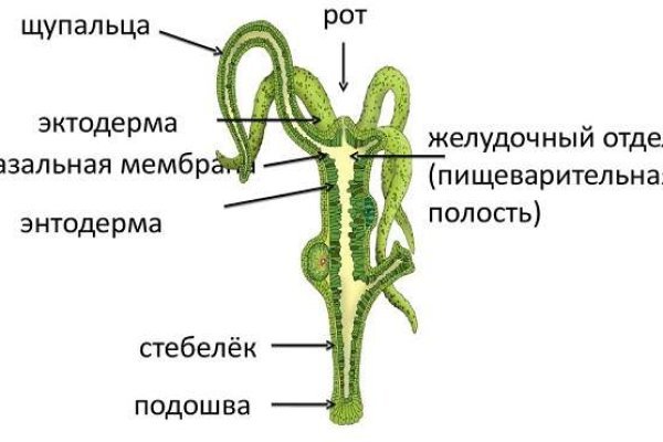 Кракен сайт ссылка онлайн